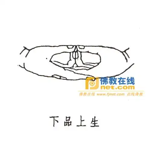 阿弥陀佛手印大全图片,佛教手印大全欣赏多图,阿弥陀佛手印套图